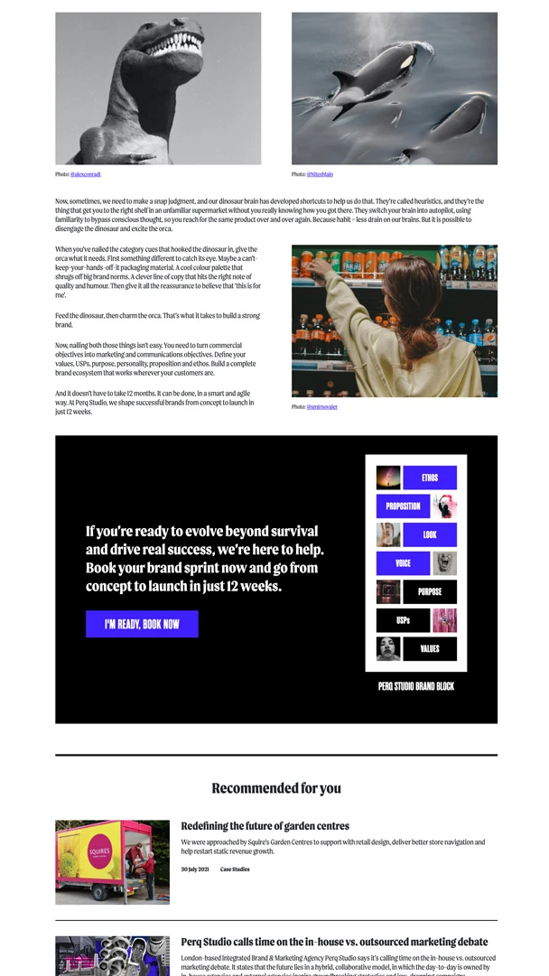 Screenshot of a Perq Case Study page