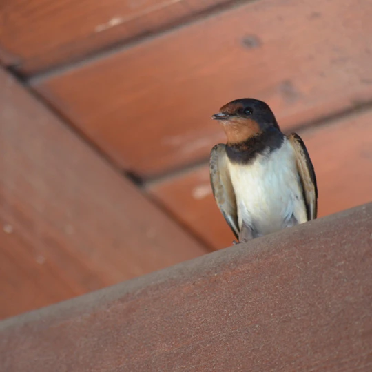 Photography gallery image: Cyprus