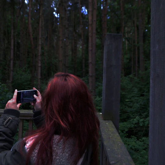 Photography gallery image: Forest